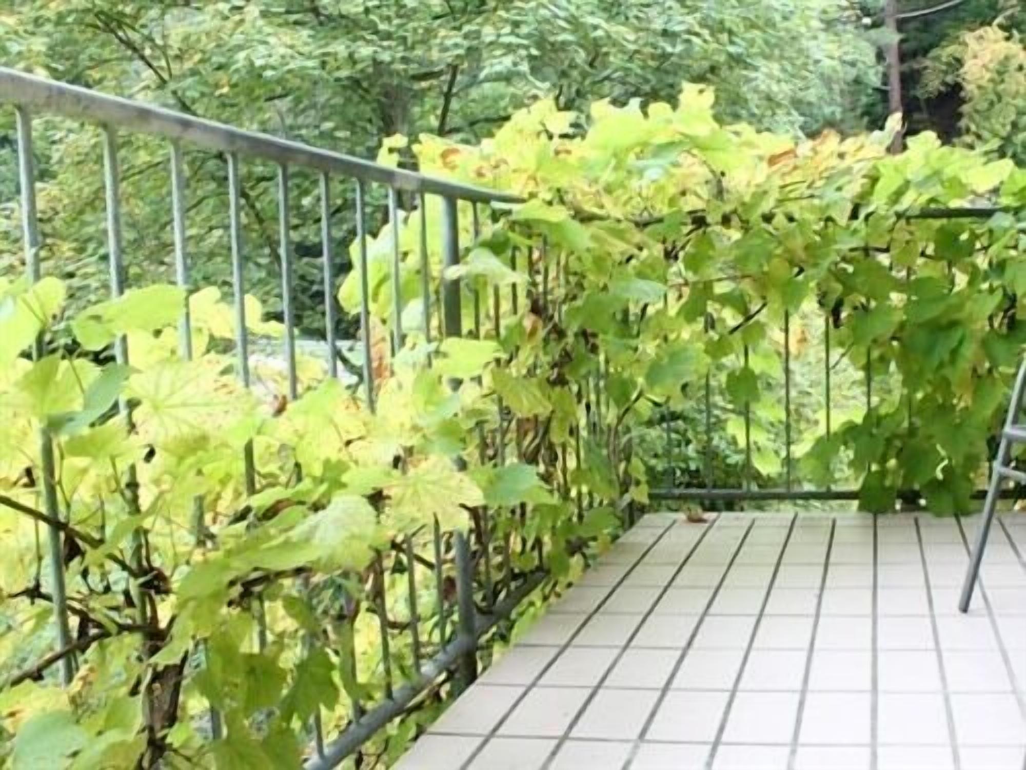 Hotel Winneburg Cochem Luaran gambar
