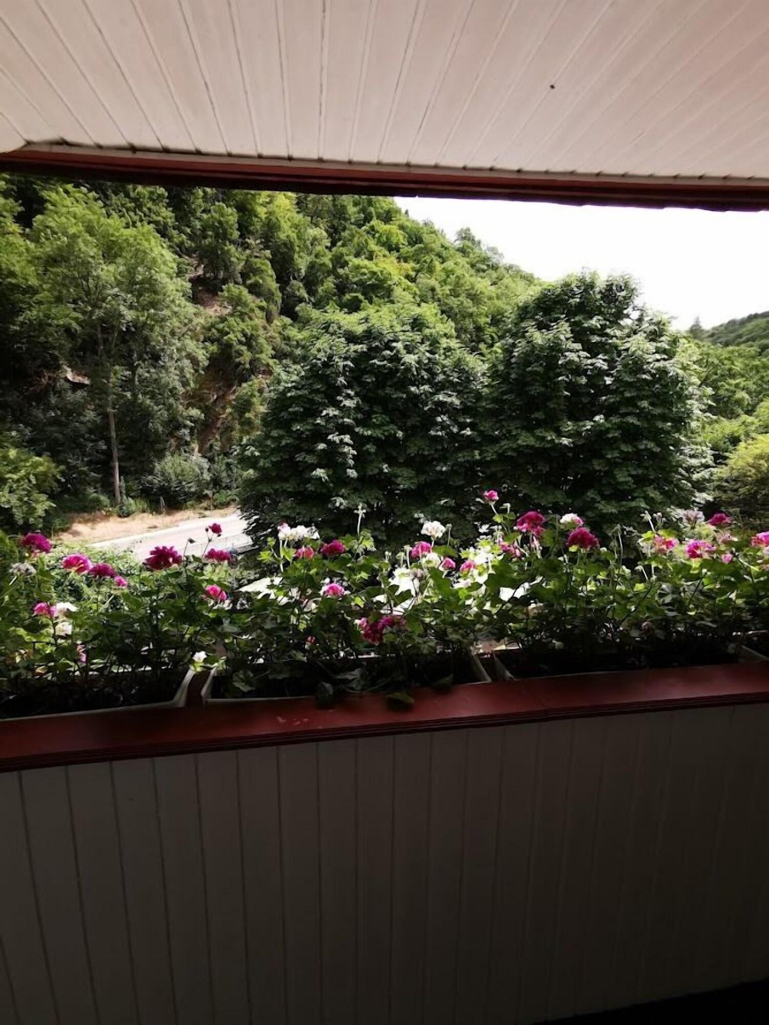 Hotel Winneburg Cochem Luaran gambar